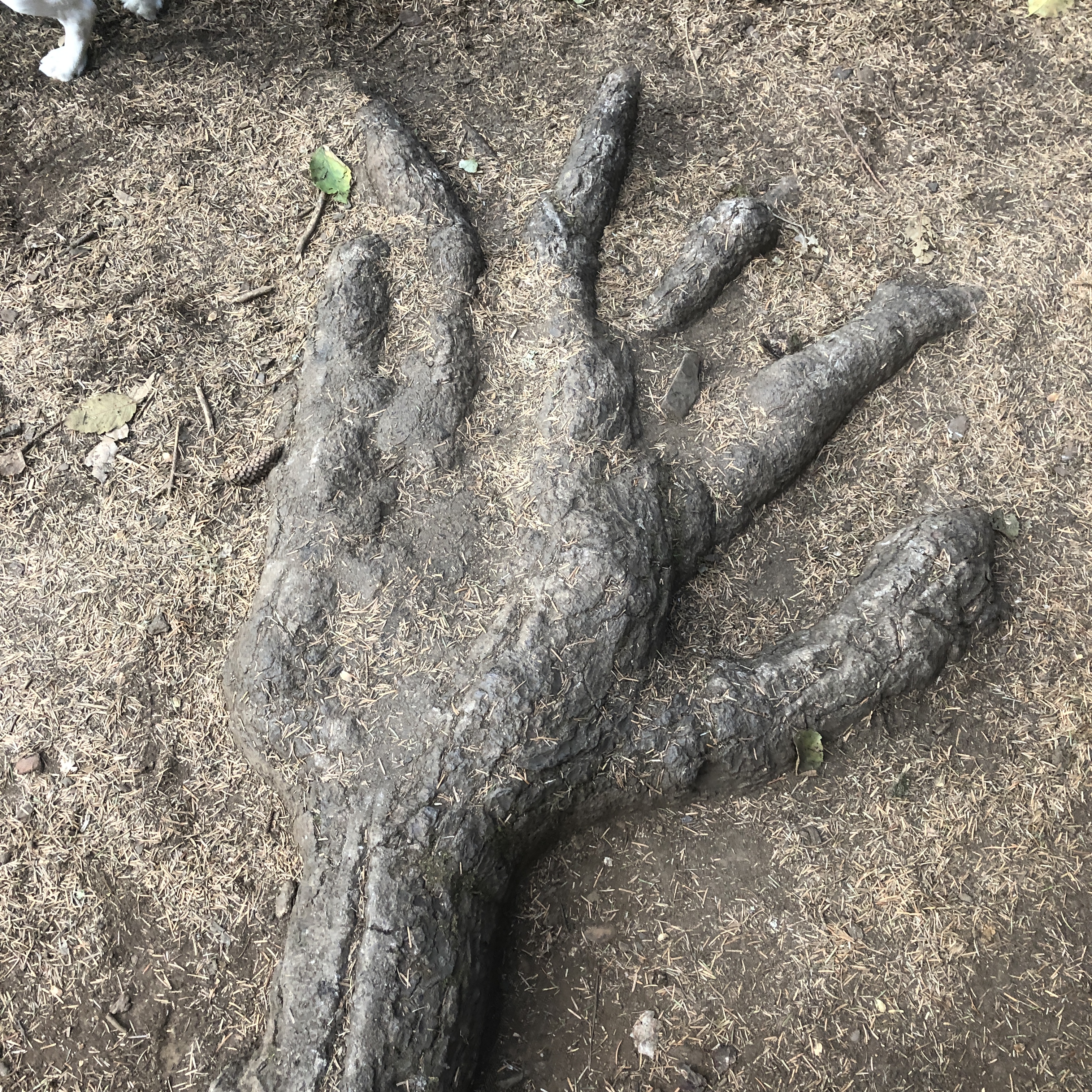 Tender Roots Counseling, LLC